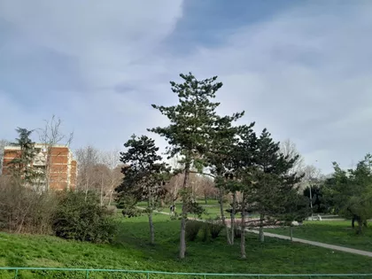 Karla Soprona | 4zida.rs