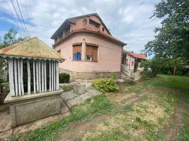 Bivolje