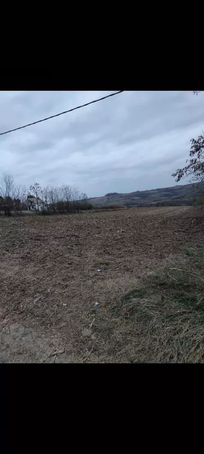 Lipovačka | 4zida.rs
