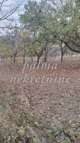 Gornja Sabanta | 4zida.rs