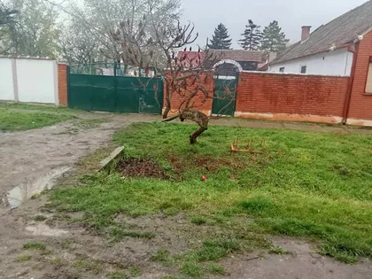 Gradske lokacije | 4zida.rs