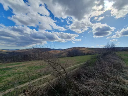 Čerević | 4zida.rs