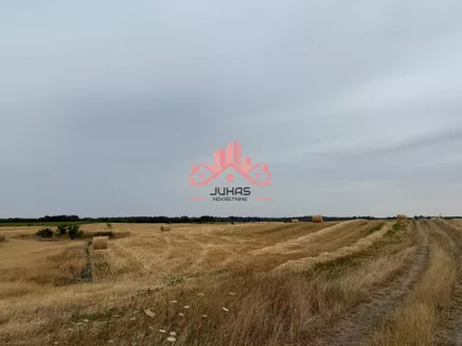 Makova Sedmica | 4zida.rs