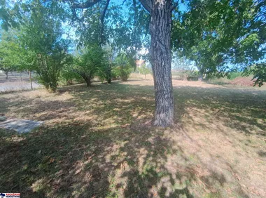 Pinosava