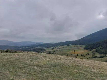 Šainovci | 4zida.rs