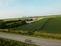 Čenej, Okolne lokacije, Novi Sad | 4zida.rs
