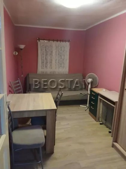 Sibinjanin Janka | 4zida.rs