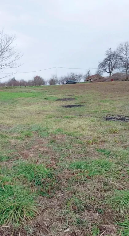 Hrastov Zapis | 4zida.rs