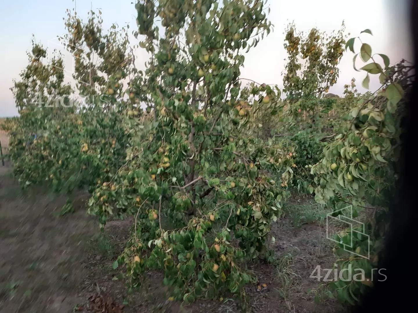 Poljoprivredno zemljište | 4zida