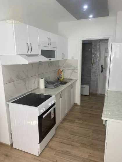 Vladimira Tomanovića | 4zida.rs