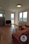 Telep, Gradske lokacije, Novi Sad | 4zida.rs | 4zida.rs