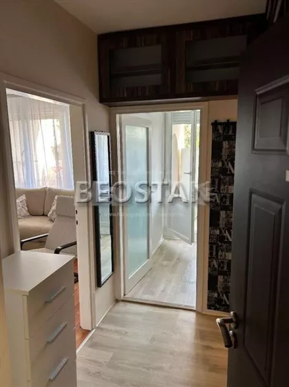 Dr Ivana Ribara | 4zida.rs