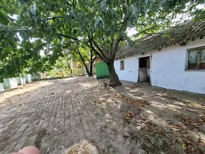 Vinogradska | 4zida.rs