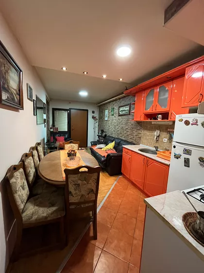 ULOFA PALMEA | 4zida.rs