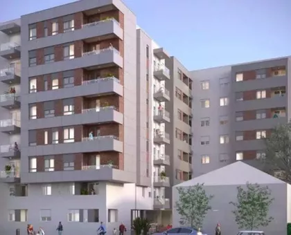 Šojka | 4zida.rs