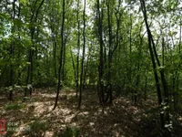 Vrčin, Grocka opština, Beograd | 4zida.rs