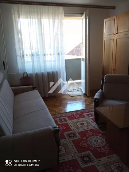 Molnar Đule | 4zida.rs