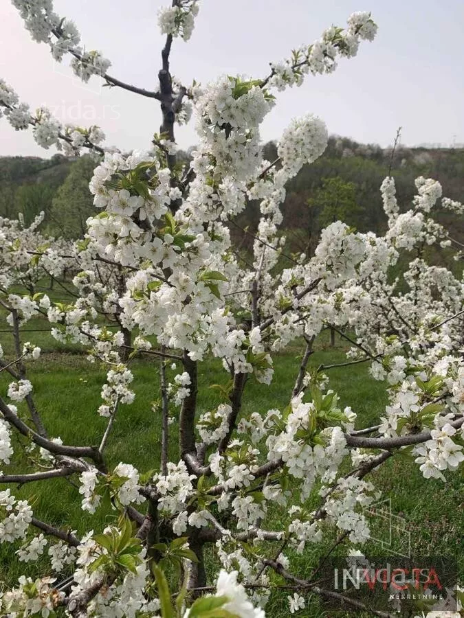 Poljoprivredno zemljište | 4zida
