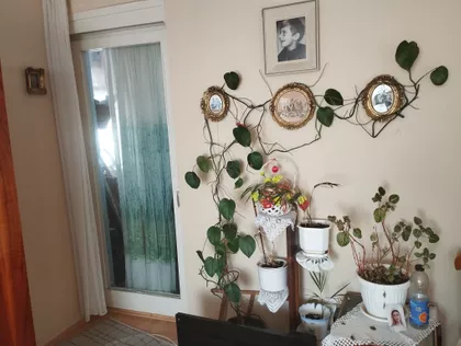 Dušana Petrovića 11 | 4zida.rs