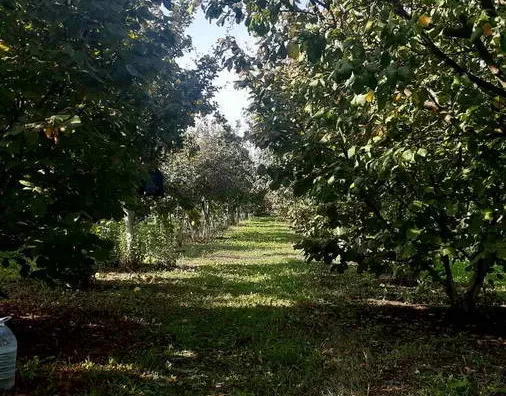 Turistički objekat | 4zida