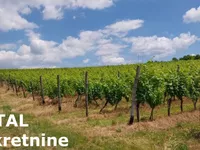 Banoštor, Okolne lokacije, Beočin | 4zida.rs