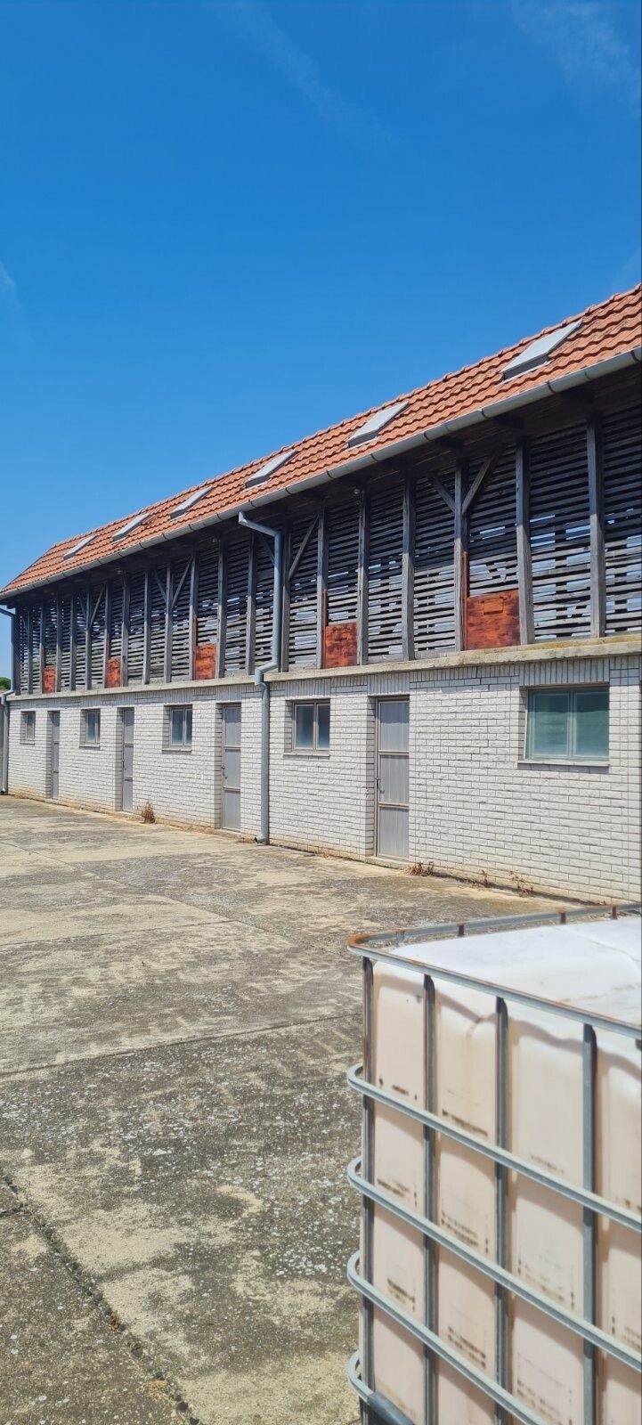 Hala - View 4