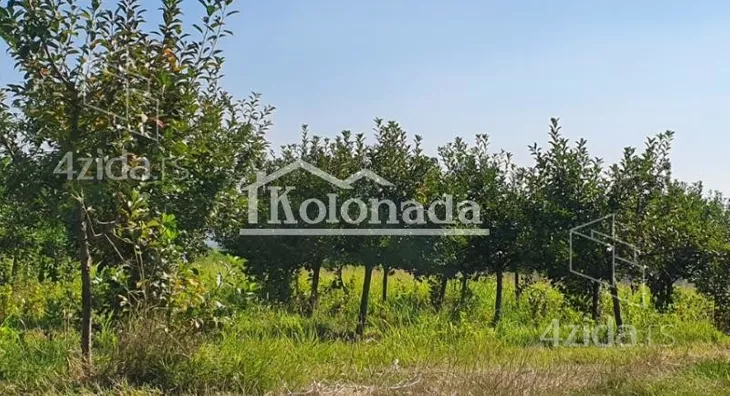 Poljoprivredno zemljište | 4zida