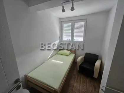 Dr Ivana Ribara | 4zida.rs