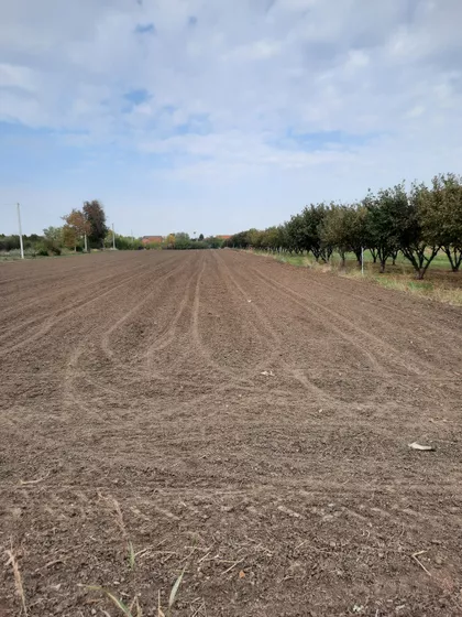 Misa Vinogradi | 4zida.rs