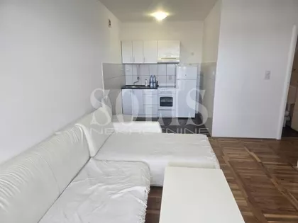 Petra Drapšina | 4zida.rs