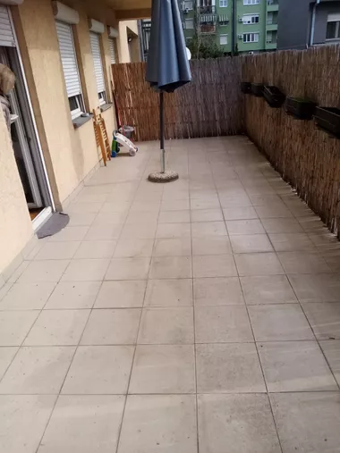 Miše Dimitrijevića