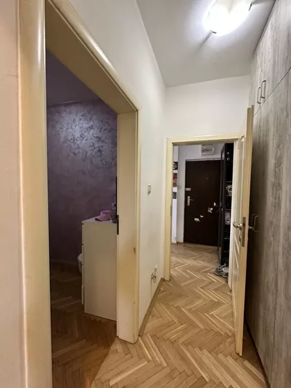 Salajka | 4zida.rs