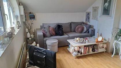 Žike Mesarovića | 4zida.rs