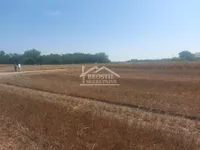 Batajnica, Zemun opština, Beograd | 4zida.rs