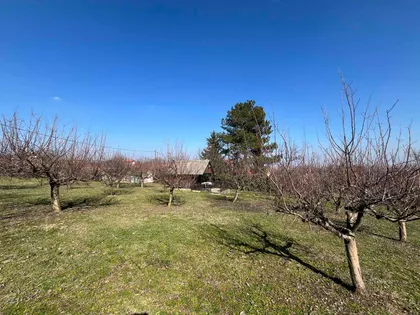 Zanoš | 4zida.rs