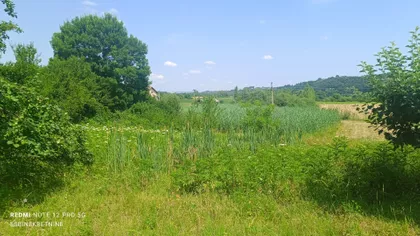 Banja Vrujci | 4zida.rs