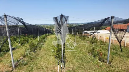 Nemenikuće | 4zida.rs