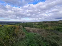 Rakovac, Okolne lokacije, Beočin