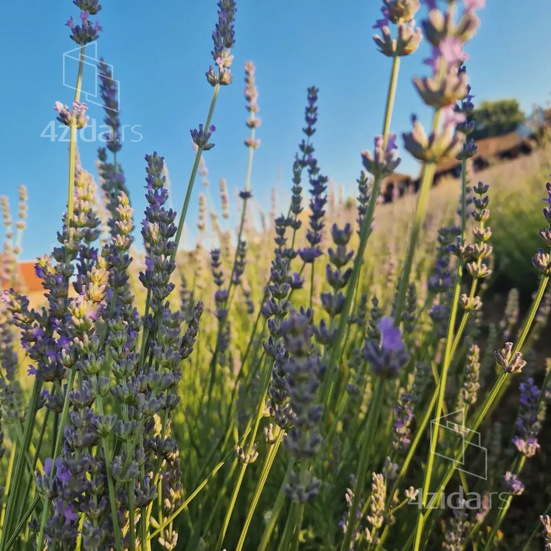 Poljoprivredno zemljište | 4zida
