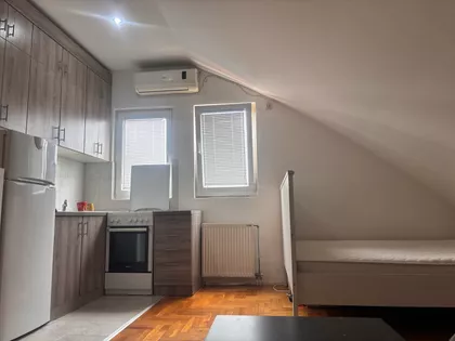 Roze Luksemburg | 4zida.rs