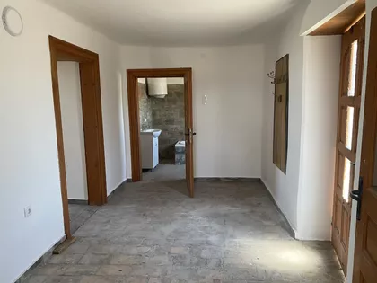 Palić | 4zida.rs