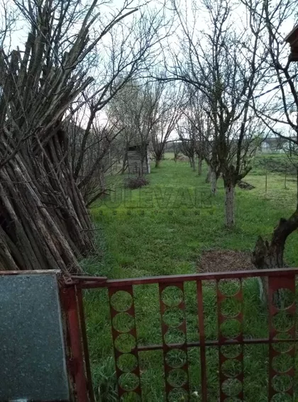 Donji Adrovac | 4zida.rs