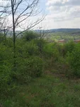Plac | 4zida