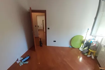 Vojvode Stepe | 4zida.rs