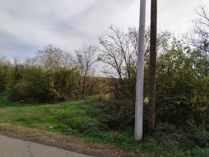 Lazara Jankovića | 4zida.rs