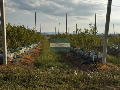 Međureč | 4zida.rs