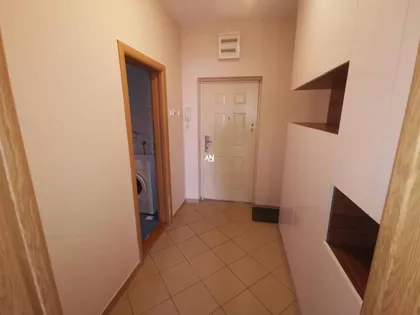 Stojana Stoleta Aranđelovića | 4zida.rs