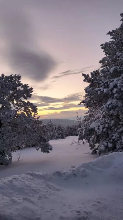 Zaselak Lučića Ograda | 4zida.rs