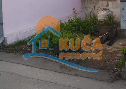 Knjaževačka | 4zida.rs