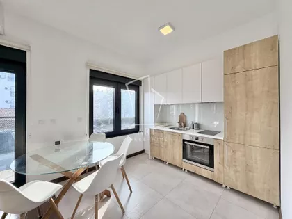 Vase Pelagića | 4zida.rs